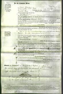 Court of Common Pleas - Sarah Tunnicliffe-Original Ancestry