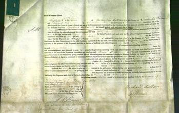 Court of Common Pleas - Mary Milne