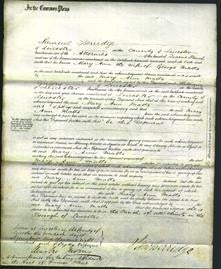 Court of Common Pleas - Mary Ann Matts-Original Ancestry