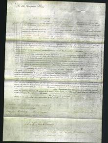 Court of Common Pleas - Elizabeth Diplock-Original Ancestry