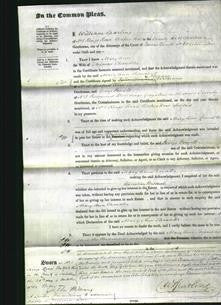 Court of Common Pleas - Mary Ann Chandler-Original Ancestry