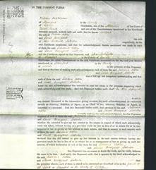 Court of Common Pleas - Juliana Collin and Sarah Margaret Saberton-Original Ancestry