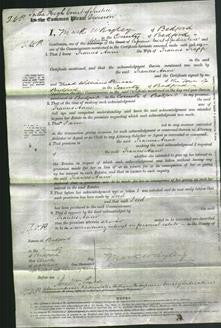 Court of Common Pleas - Frances Anne Trapp-Original Ancestry