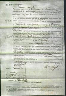 Court of Common Pleas - Elizabeth Jennings-Original Ancestry