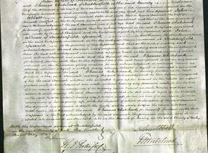 Court of Common Pleas - Hannah Bedford-Original Ancestry