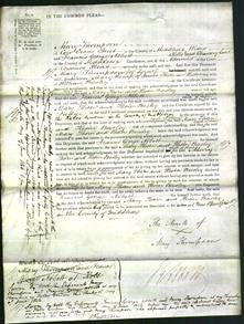 Court of Common Pleas - Mary Thorn, Hester Beesley-Original Ancestry