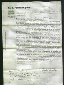 Court of Common Pleas - Fanny Clara Phillips-Original Ancestry