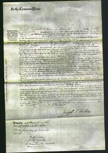 Court of Common Pleas - Mary Ann Rowles-Original Ancestry