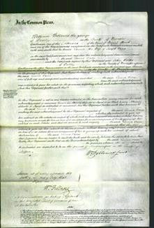 Court of Common Pleas - Emma Owen-Original Ancestry