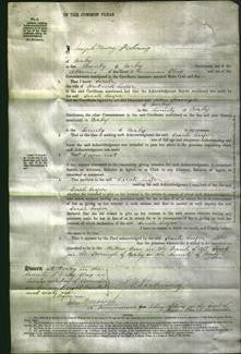 Court of Common Pleas - Sarah Cooper-Original Ancestry