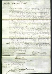 Court of Common Pleas - Hannah Strong-Original Ancestry