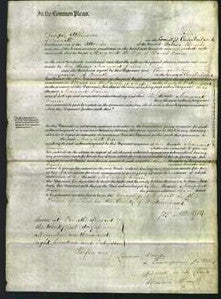 Court of Common Pleas - Margaret Fairer-Original Ancestry