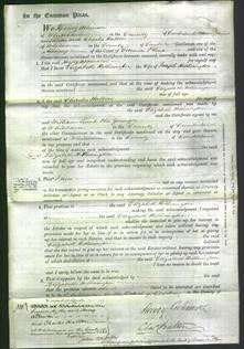 Court of Common Pleas - Elizabeth Hetherington-Original Ancestry