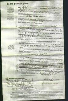 Court of Common Pleas - Mary Campbell-Original Ancestry