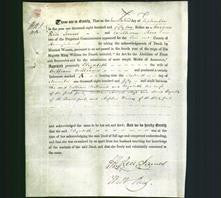 Deed by Married Women - Elizabeth Williams-Original Ancestry