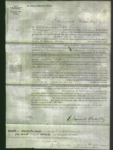 Court of Common Pleas - Elizabeth Hicks-Original Ancestry