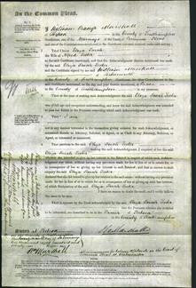 Court of Common Pleas - Eliza Sarah Lester-Original Ancestry