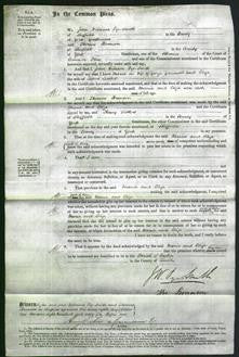 Court of Common Pleas - Maria Greenwood and Eliza Leader-Original Ancestry