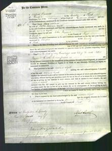 Court of Common Pleas - Mary Muggeridge Francis and Adelaide Muggeridge Wyatt-Original Ancestry