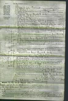 Court of Common Pleas - Mary Elizabeth Serle-Original Ancestry