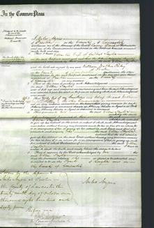 Court of Common Pleas - Ellen Taylor-Original Ancestry