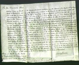 Court of Common Pleas - Sarah Varty-Original Ancestry