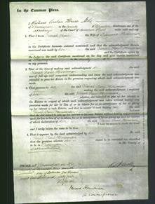 Court of Common Pleas - Sarah Jane Housman-Original Ancestry