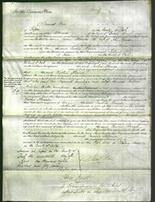 Court of Common Pleas - Caroline Harrison-Original Ancestry