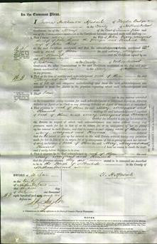 Court of Common Pleas - Mary Curry, Margaret Shield and Hannah Short-Original Ancestry