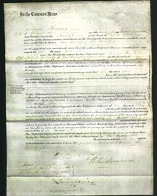 Court of Common Pleas - Ann Thomas-Original Ancestry