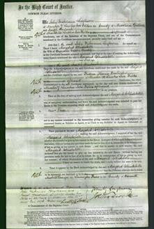 Court of Common Pleas - Margaret Christabelle Manley-Original Ancestry