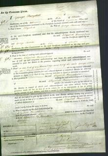 Court of Common Pleas - Elizabeth Humphries-Original Ancestry