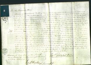 Court of Common Pleas - Elizabeth England-Original Ancestry