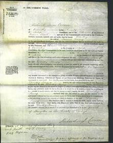 Court of Common Pleas - Dorothy Pinney-Original Ancestry