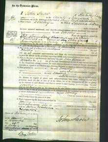 Court of Common Pleas - Dorothy Adcock-Original Ancestry