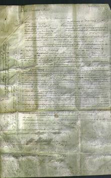 Court of Common Pleas - Ann Greenaway-Original Ancestry