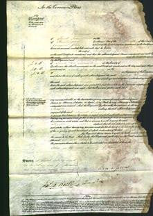 Court of Common Pleas - Elizabeth Sharples-Original Ancestry