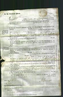 Court of Common Pleas - Harriet Wilding-Original Ancestry