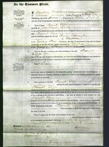 Court of Common Pleas - Harriet Eliza Baker-Original Ancestry