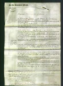 Court of Common Pleas - Ann Dashwood-Original Ancestry