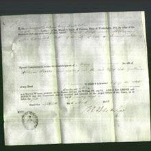 Appointment of Special Commissioners - David Hall and William McCormack-Original Ancestry