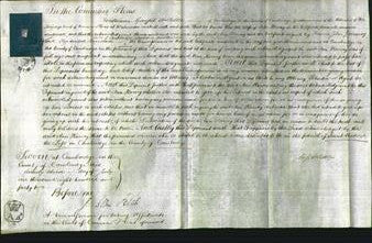 Court of Common Pleas - Ann Griffin Harvey-Original Ancestry