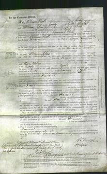 Court of Common Pleas - Hannah Jackson-Original Ancestry
