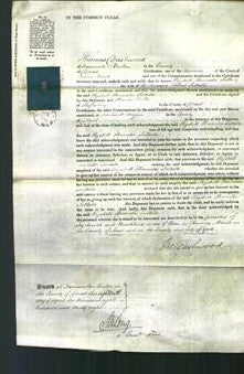 Court of Common Pleas - Elizabeth Henrietta Salkeld-Original Ancestry