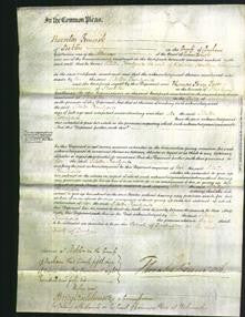 Court of Common Pleas - Sibella Keenlyside-Original Ancestry