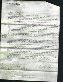 Court of Common Pleas - Elizabeth Streater Fltecher-Original Ancestry