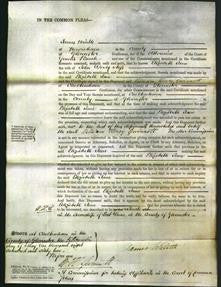 Court of Common Pleas - Elizabeth Jane Ness-Original Ancestry