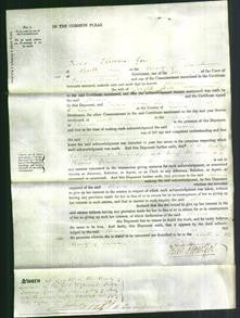 Court of Common Pleas - Eleanor Hill-Original Ancestry