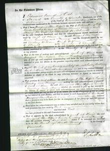 Court of Common Pleas - Margaret Ellen Clifford Self, Louisa Loveday Stanton and Fanny Woodhouse-Original Ancestry