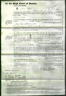 Court of Common Pleas - Mary Naylor-Original Ancestry